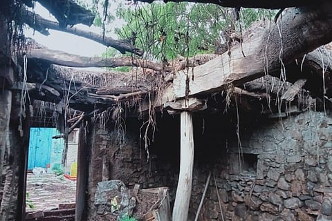 SHELLAGI VILLEGE