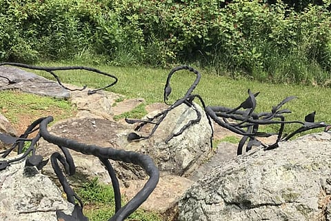 Snake Feature