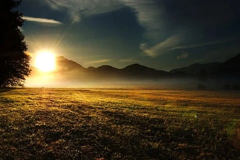 Untitled-design-1-2