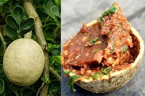 Wood Apple