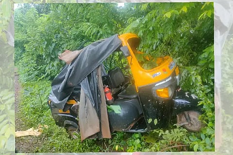 auto palti