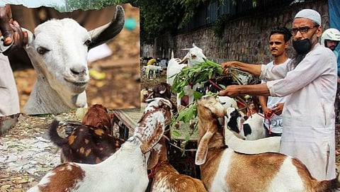bakrid