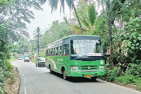 bus