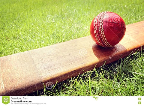 club-cricket-ball