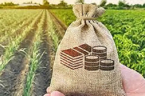 crop insurance