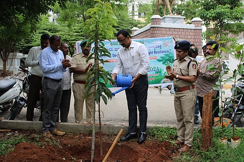 dc program