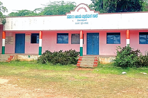 dvg-school-24-1.jpg