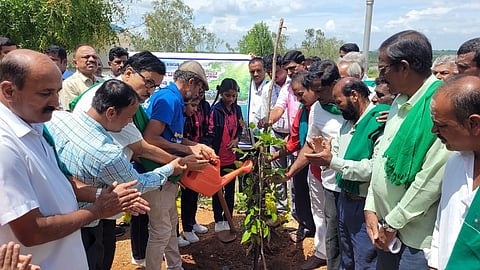 environment day