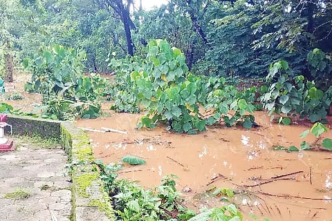 flood