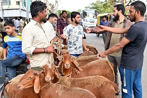 goat fair