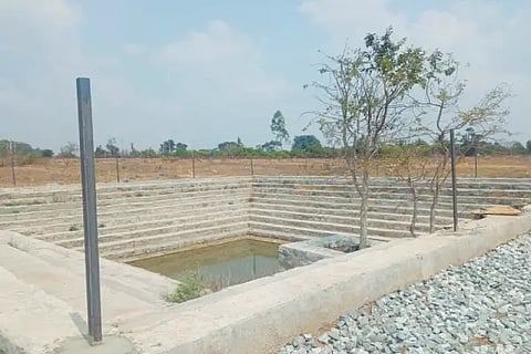 keladi