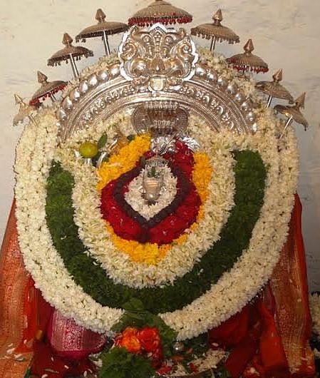 leopard-1