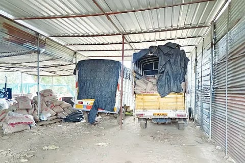 milk powder