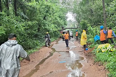 mulki male haani