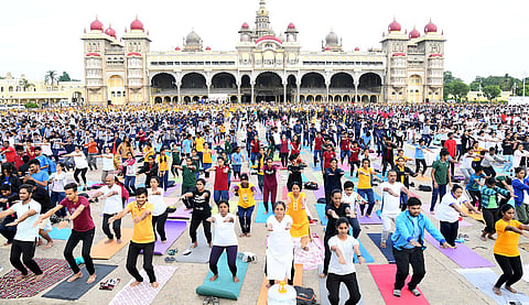 mysore
