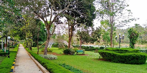 pilikula-