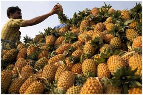 pinaple