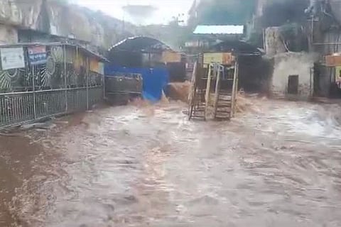 rain
