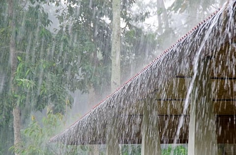 rain fall