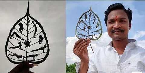 ravi leaf