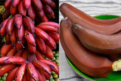 redbanana