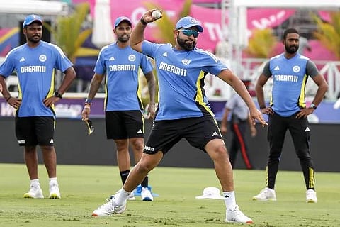 web rohit