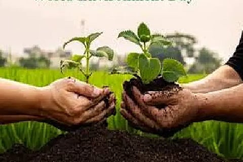 world environment
