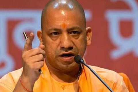 yogi