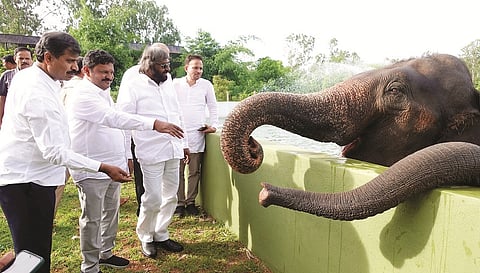mysore