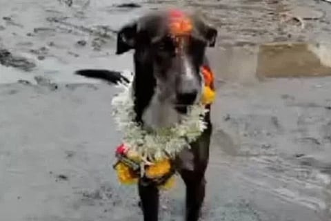 ವಿಜಯವಾಣಿ - 2024-07-31T111000.249