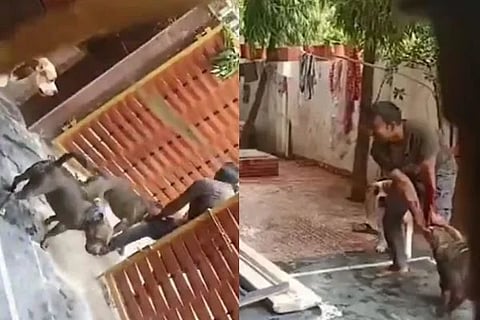 ವಿಜಯವಾಣಿ (46)