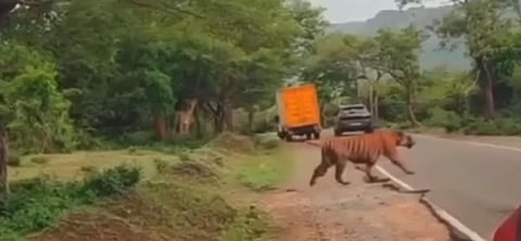 01rajesh1