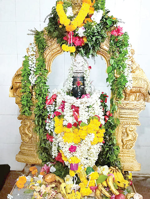 PANDU RANGA