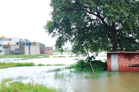 21Jaggu2