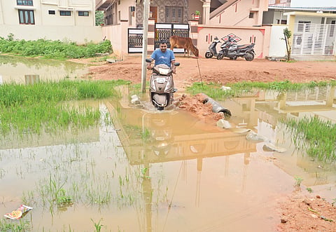 21hosalli crass07