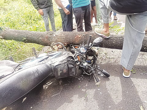 ಬೈಕ್ ಮೇಲೆ ಮರ ಬಿದ್ದು ಕಾನ್‌ಸ್ಟೆಬಲ್‌ಗೆ ಗಾಯ