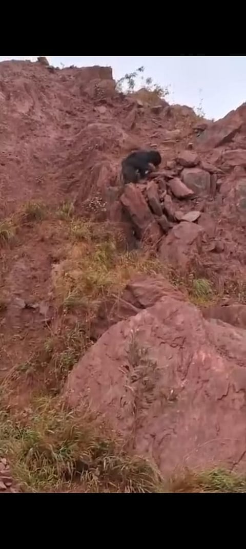 24 YERRISWAMY 02