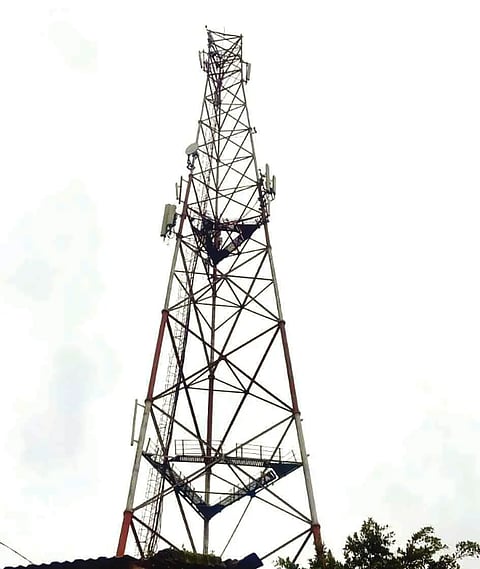 25mnd1- network