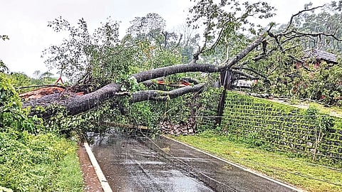ಅಪಾಯದಲ್ಲಿ ಜನರ ಜೀವನ