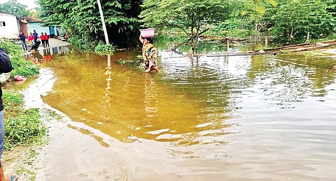 ಎಣ್ಣೆಹೊಳೆಕೊಪ್ಪಲು ಜಲಾವೃತ