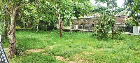 29 GJD 1 PARK