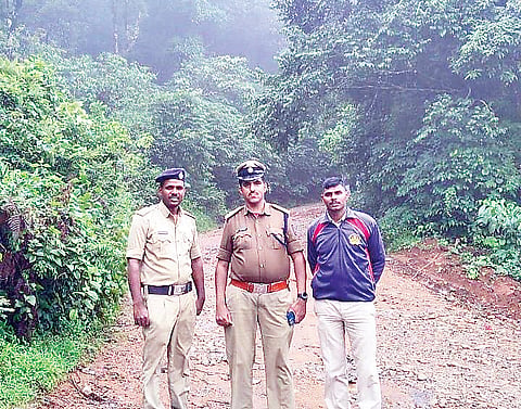 4skpp1 patla betta