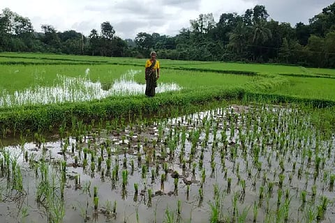 Agriculture
