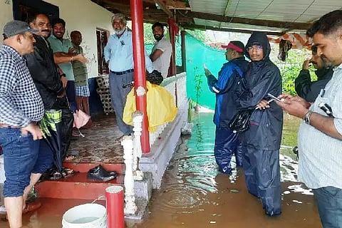 Ank Rain
