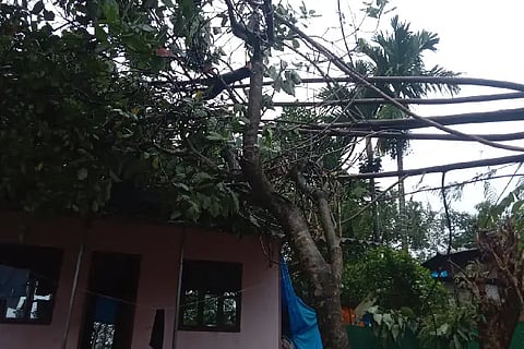 Damage
