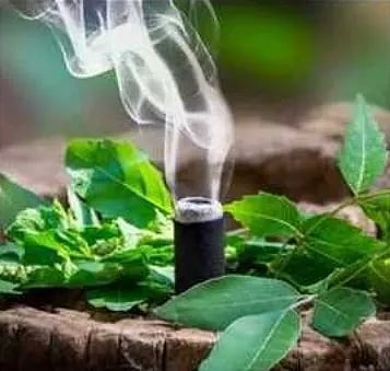 Dhoop