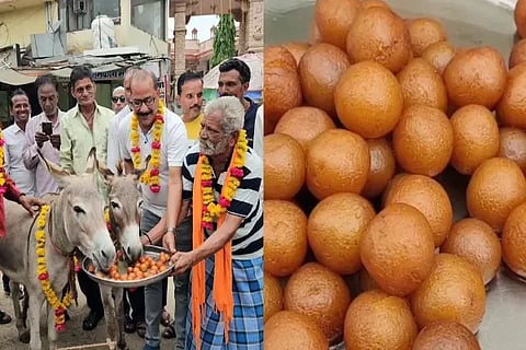 Donkey Jamun