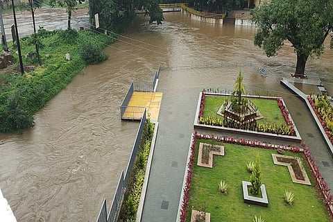 Good rain in Kodagu
