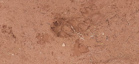 IMG-20240711-WA0058