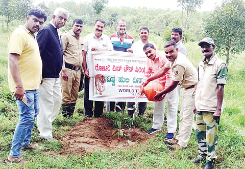 ಹುಲಿ ಸಂರಕ್ಷಣೆಗೆ ಎಲ್ಲರ ಸಹಕಾರ ಅಗತ್ಯ